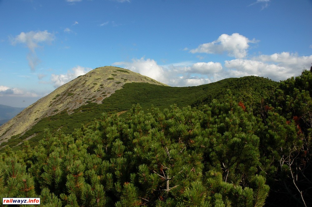 Гора Ведмежик (1736 м)и полоса жерепа перед ней