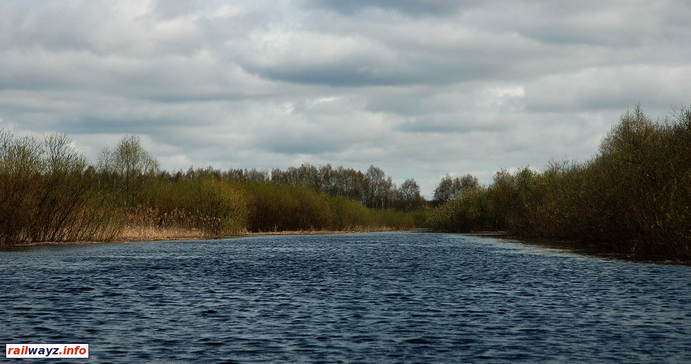 Река Цевла после выходя из озера Цевло