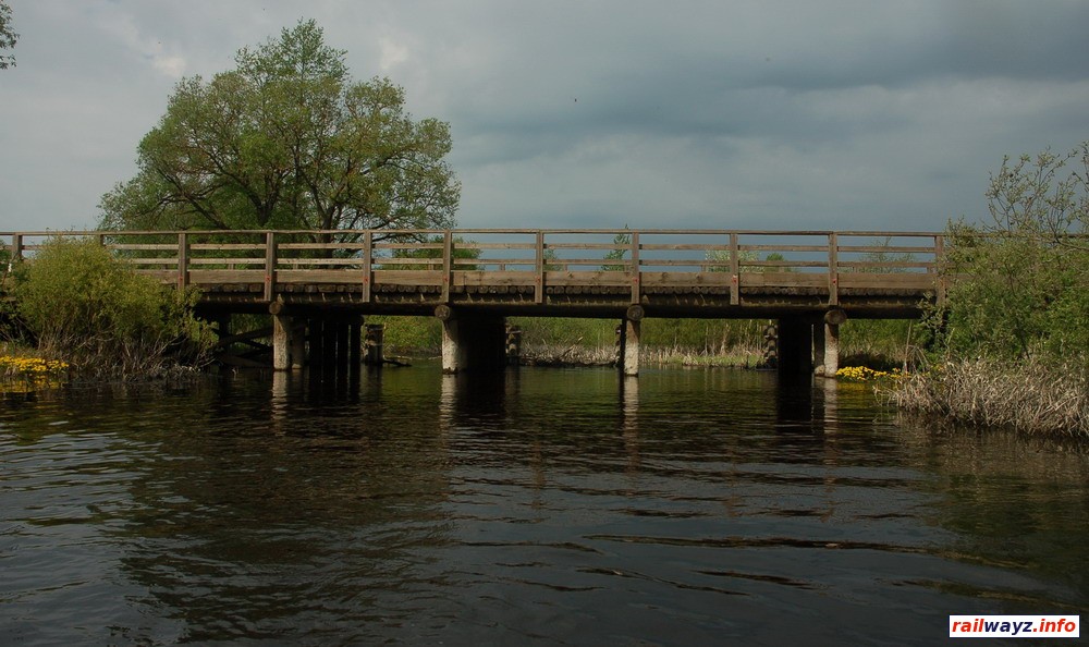 Деревянный мост у д. Гришаны