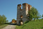 Старая башня на окраине д. Селище