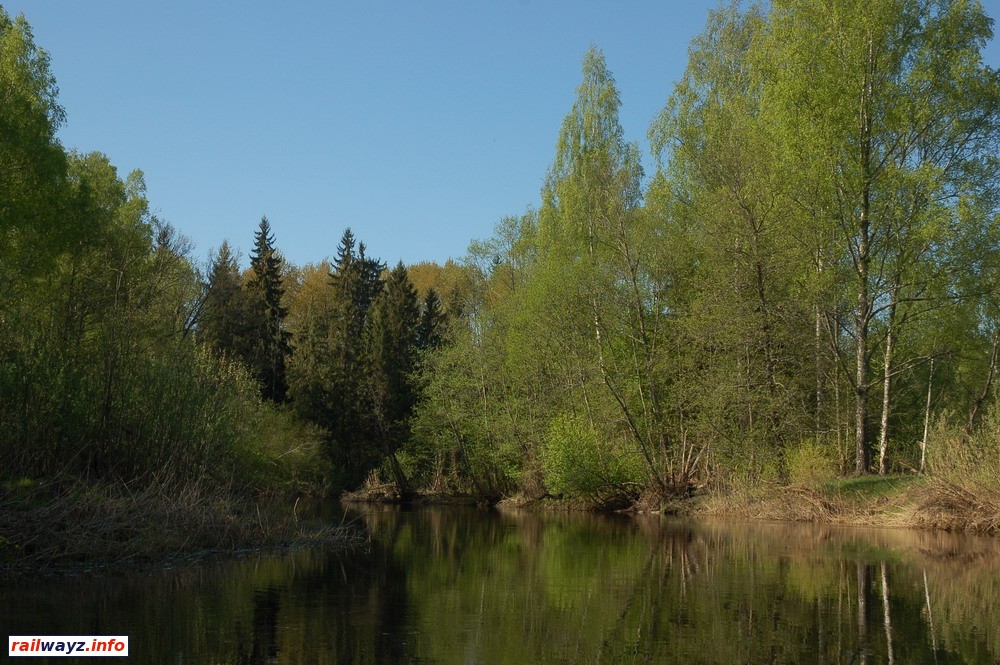 Лесистый участок реки за д. Северики