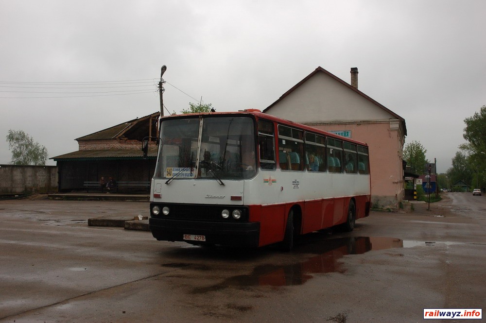Автобус Великие Луки - Витебск в Невеле