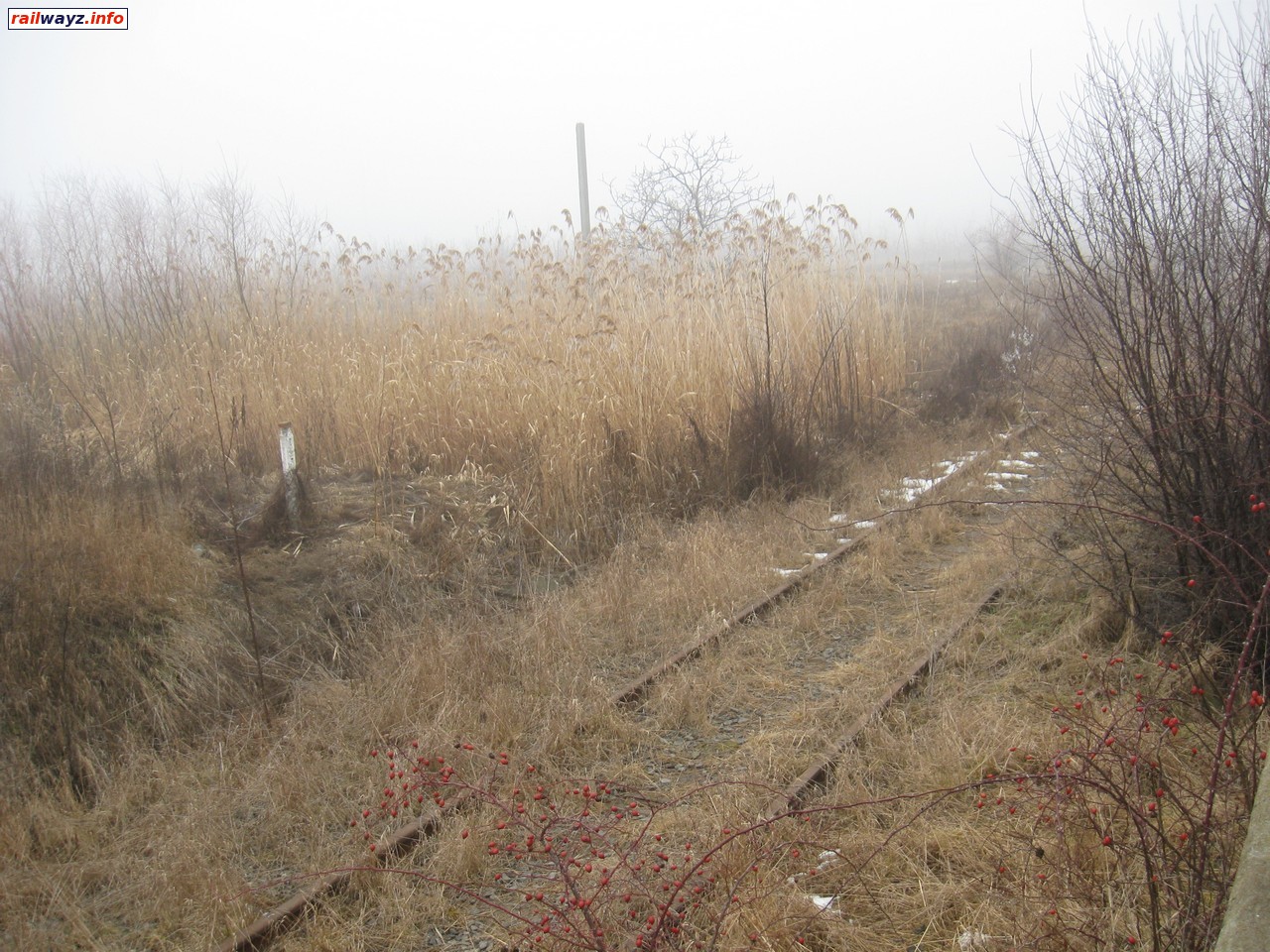 Переезд перед селом Белоусовка - линия на Новоднестровск, вид в сторону Новоднестровска