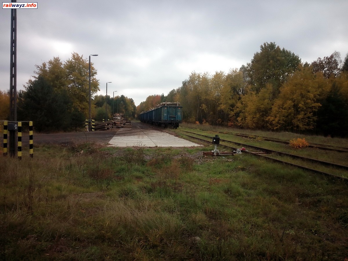 станция Sobibór - площадка для погрузки леса