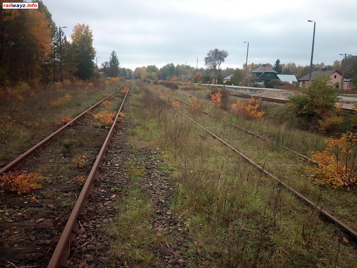 станция Sobibór - пути станции (вид в сторону Хелма)