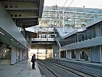 станция Адлер: Вид платформ