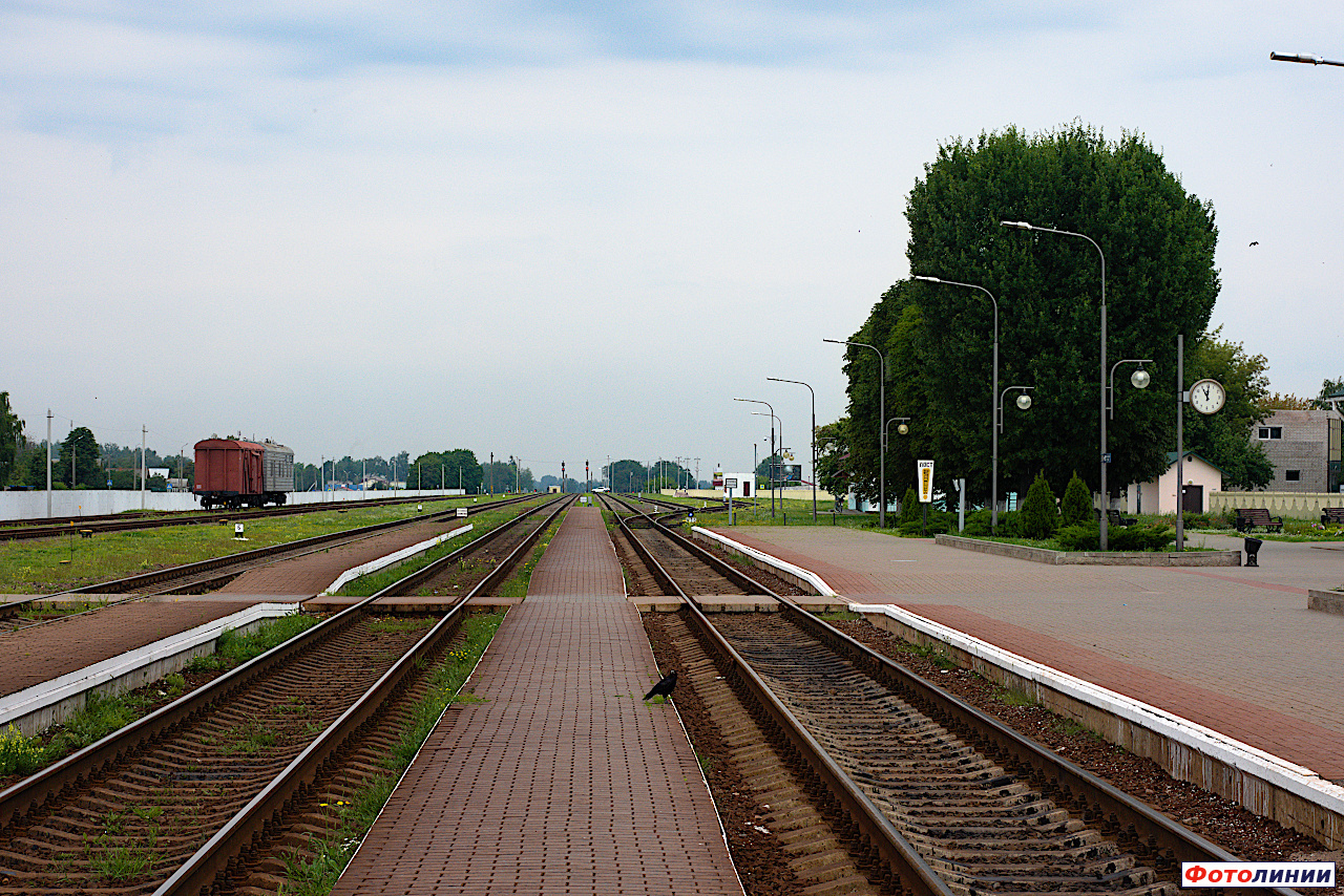 Платформы, вид в сторону Могилёва