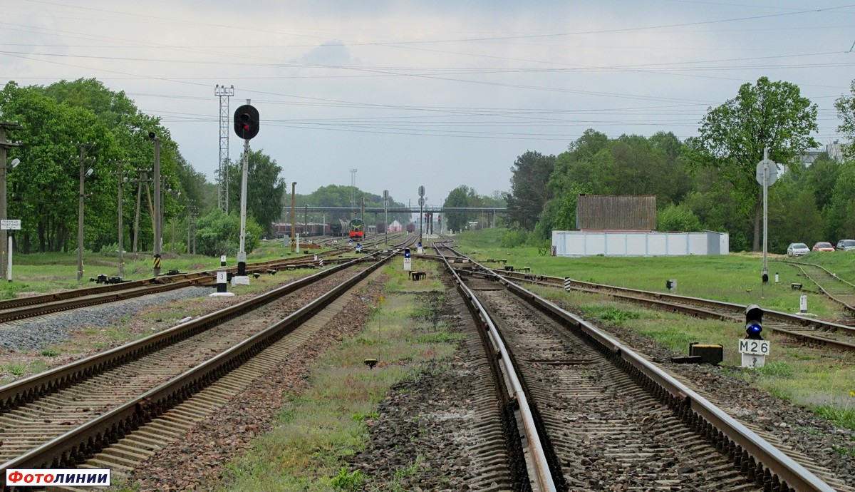 Вид станции со стороны Калинковичей