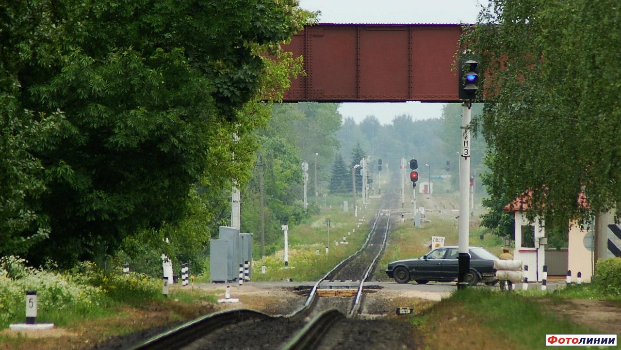 Вид на станцию из горловины станции Полоцк