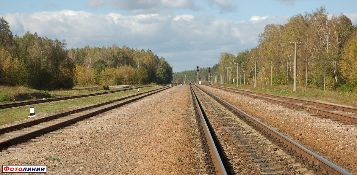 Вид станции в сторону Кричева