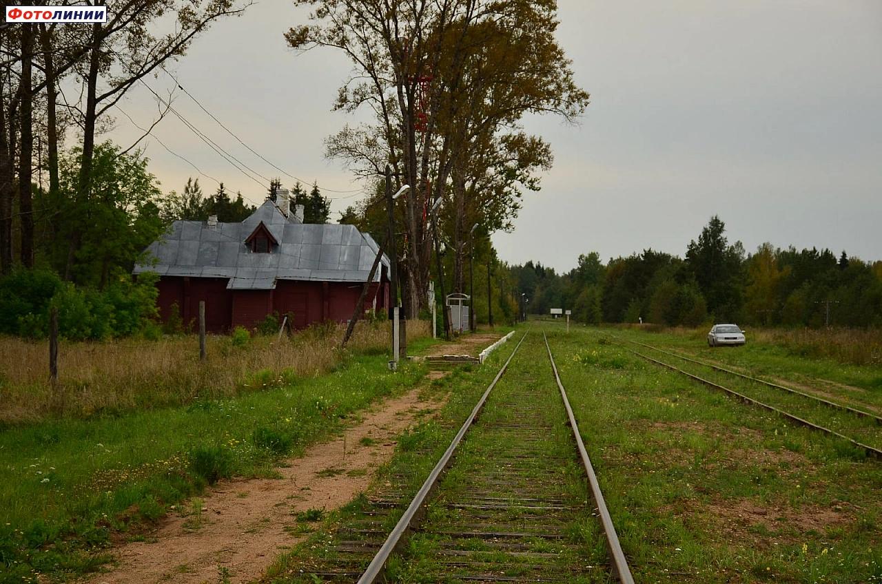Вид в сторону станции Селижарово