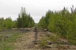 Разобранный путь за тупиком в сторону лесозаготовительной базы