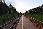 станция Инема: Вид с платформы в сторону Лодейного Поля