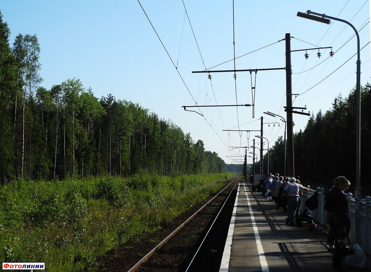 Вид с платформы в Сторону Невской Дубровки