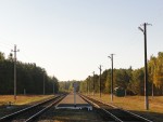 Вид в сторону станция Лыщицы