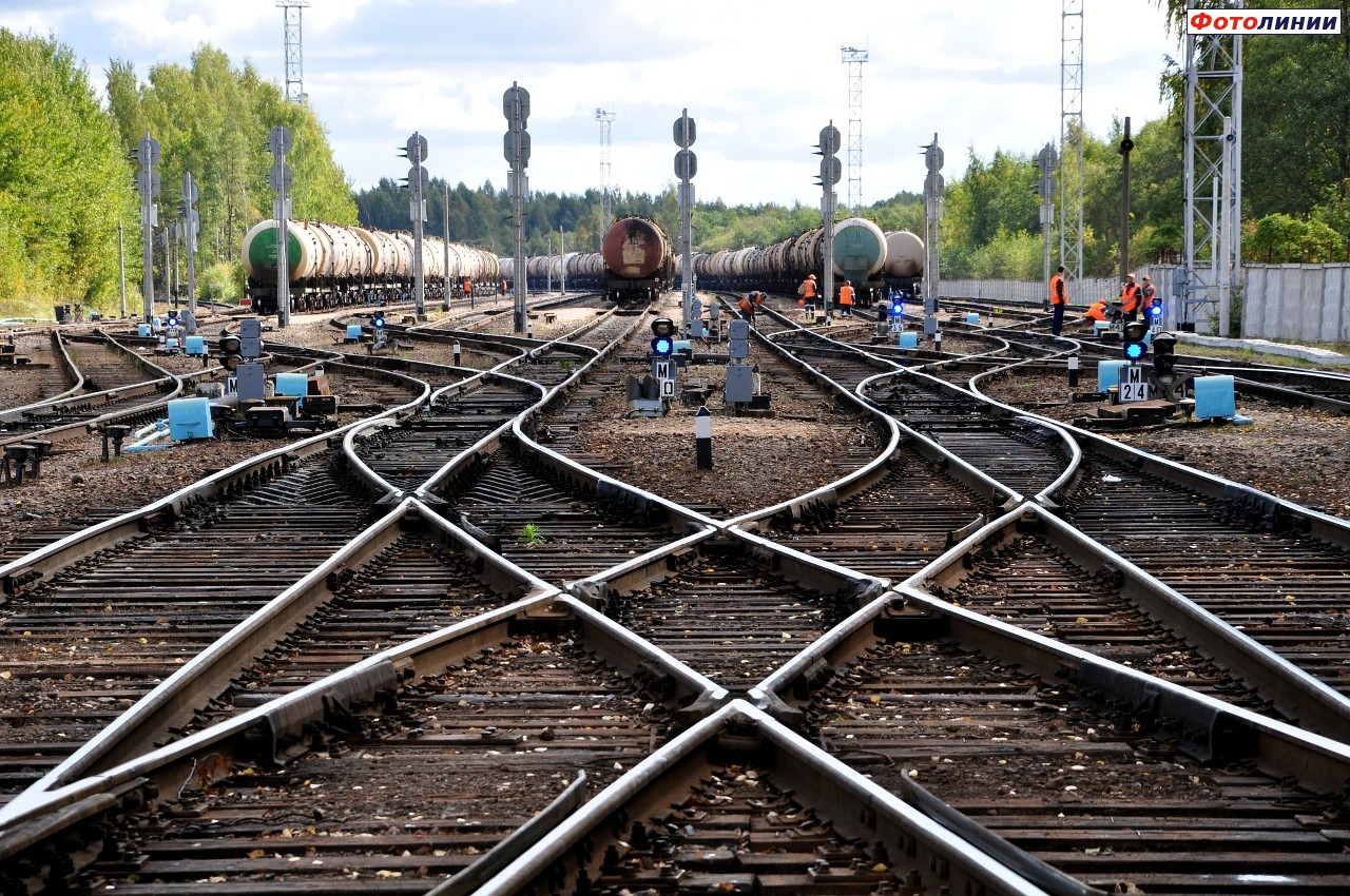 Путейская Петрозаводск Магазин