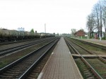 станция Богушевская: Вид станции в сторону Витебска