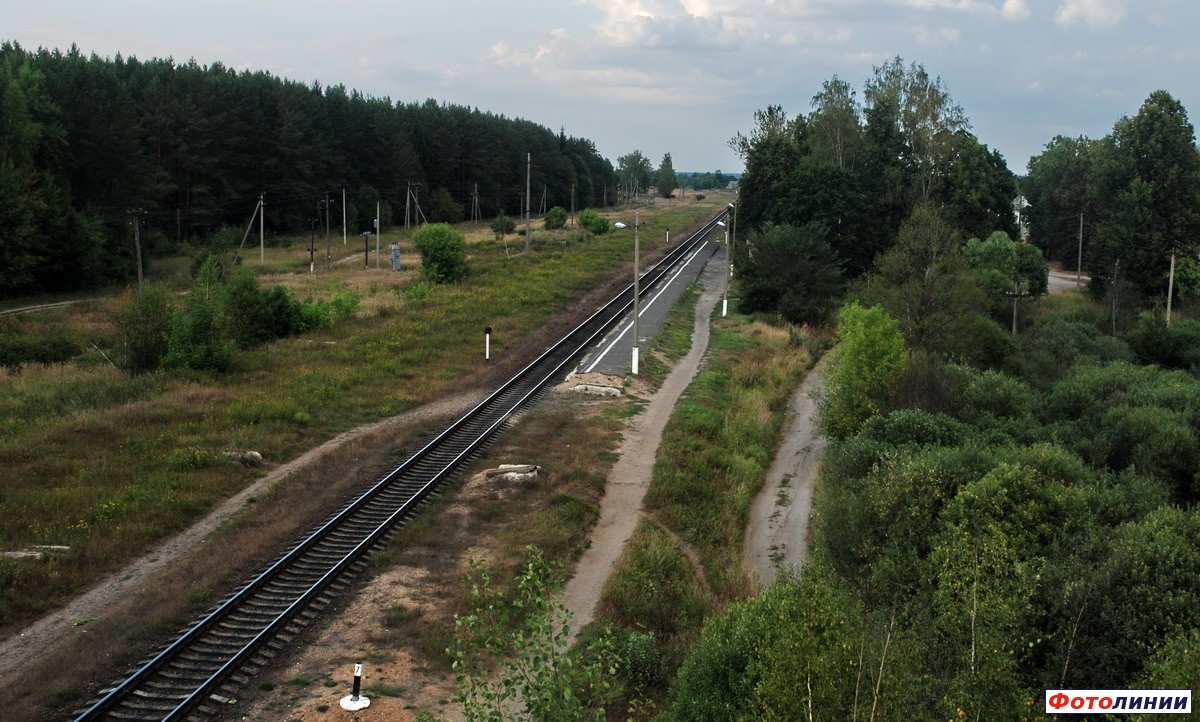 Общий вид бывшей станции в сторону Рославля