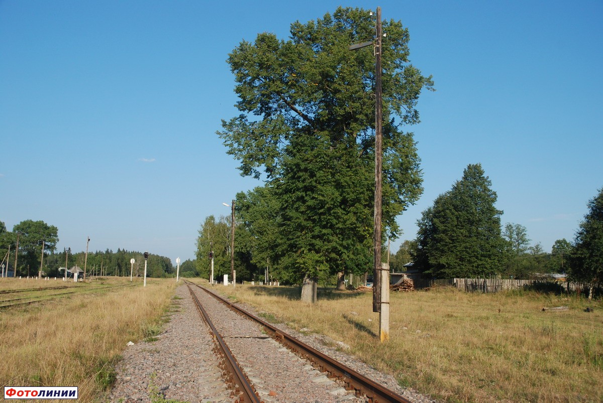 Бывшая платформа, вид в сторону Жуковки