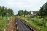о.п. 81 км: Вид в сторону Вязьмы