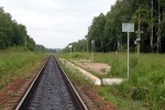 о.п. 77 км: Вид в сторону Вязьмы