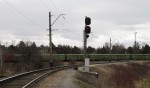 станция Правдинск: Входной светофор Н