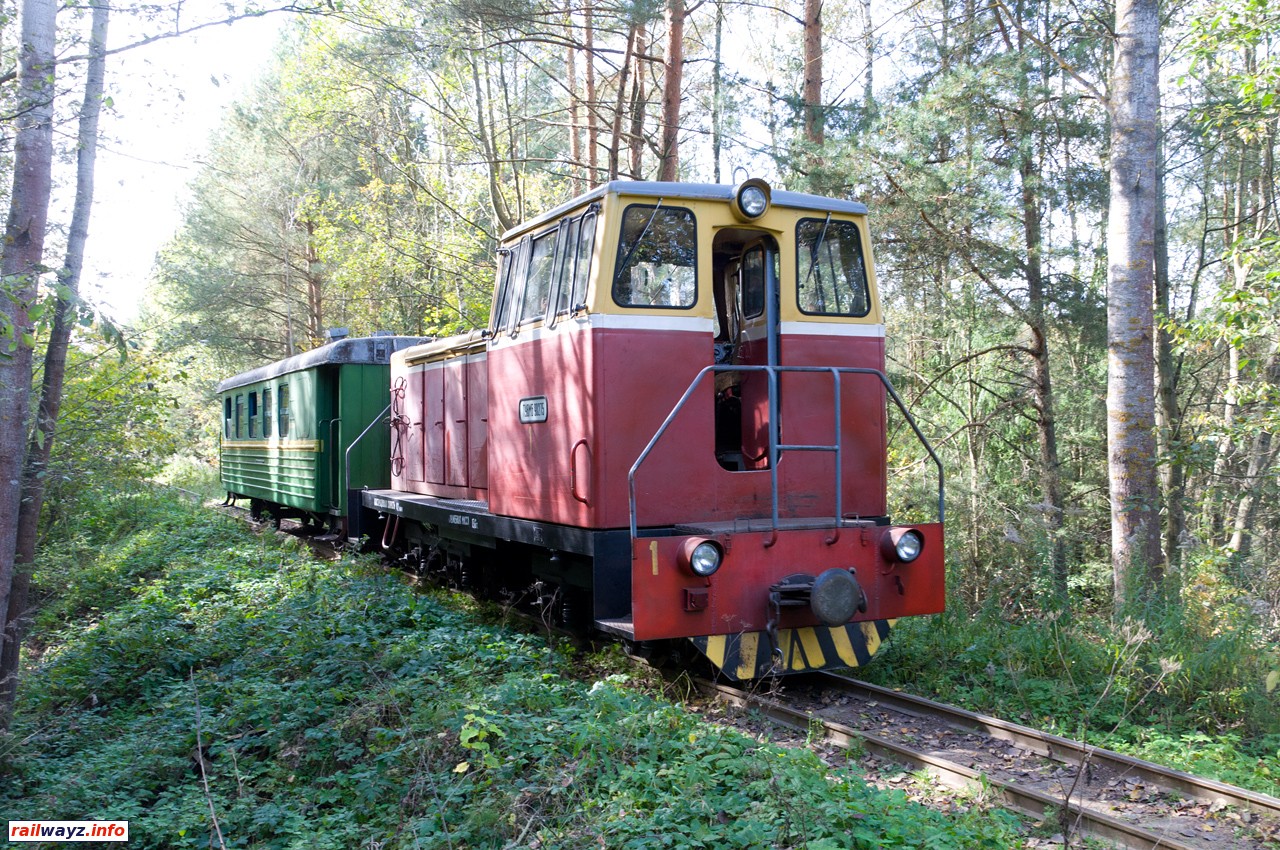 Пассажирский поезд в лесу