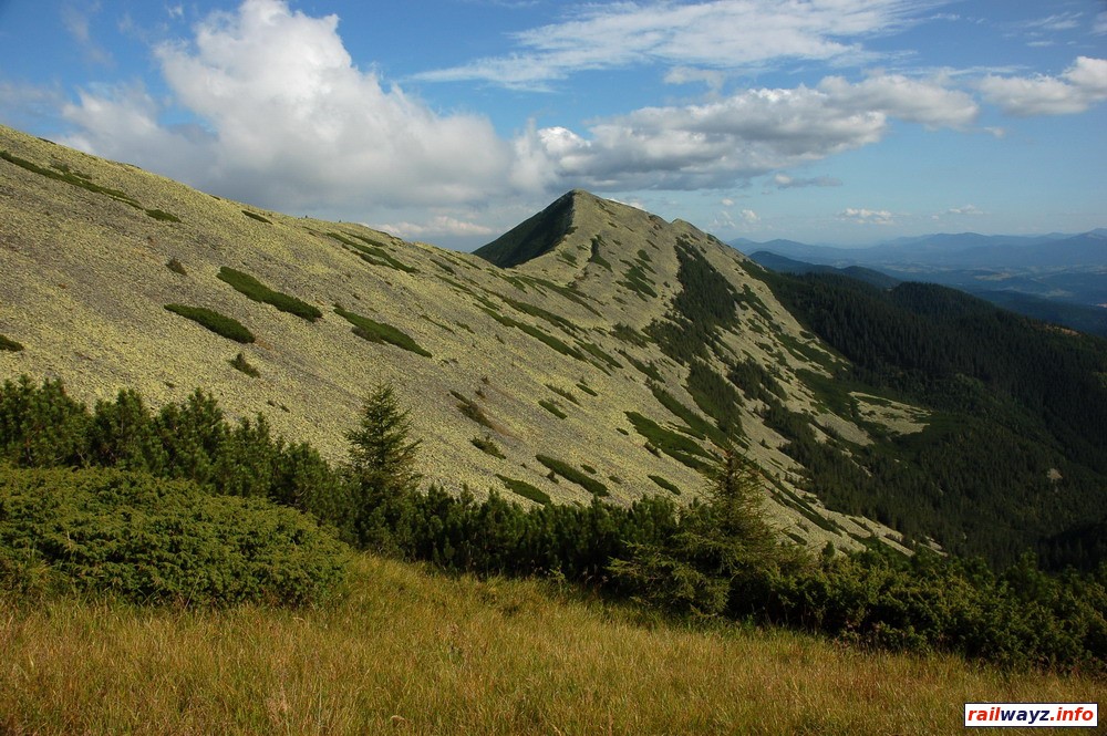Гора Довбушанка (1754 м)