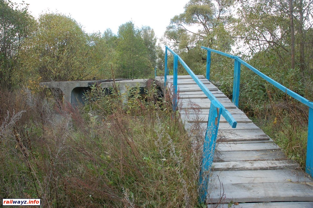 Мост в д. Бони
