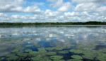 Озеро Ведринское