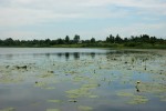 Озеро Алексеевское