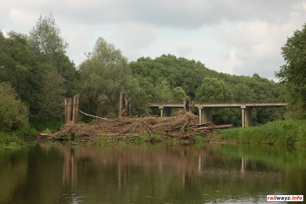 Мост у д. Тарасенки