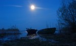 Ночь в дельте Ловати