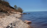 Галечный пляж у Ильменского глинта