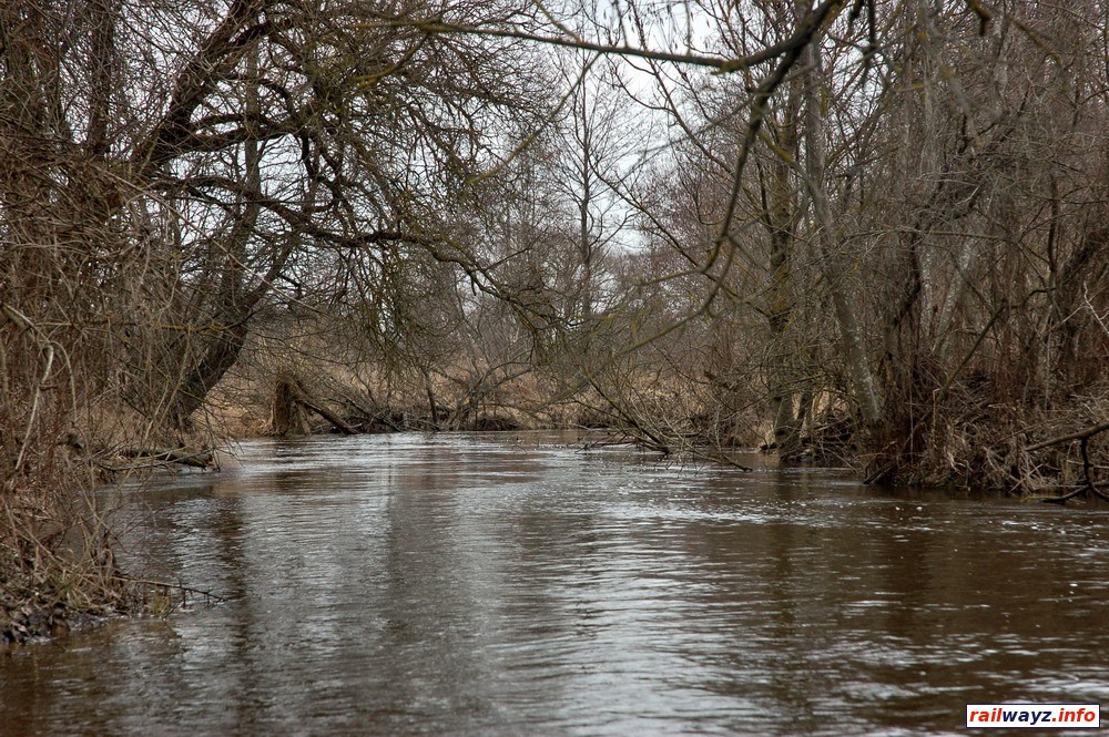 Река перед д. Петровичи