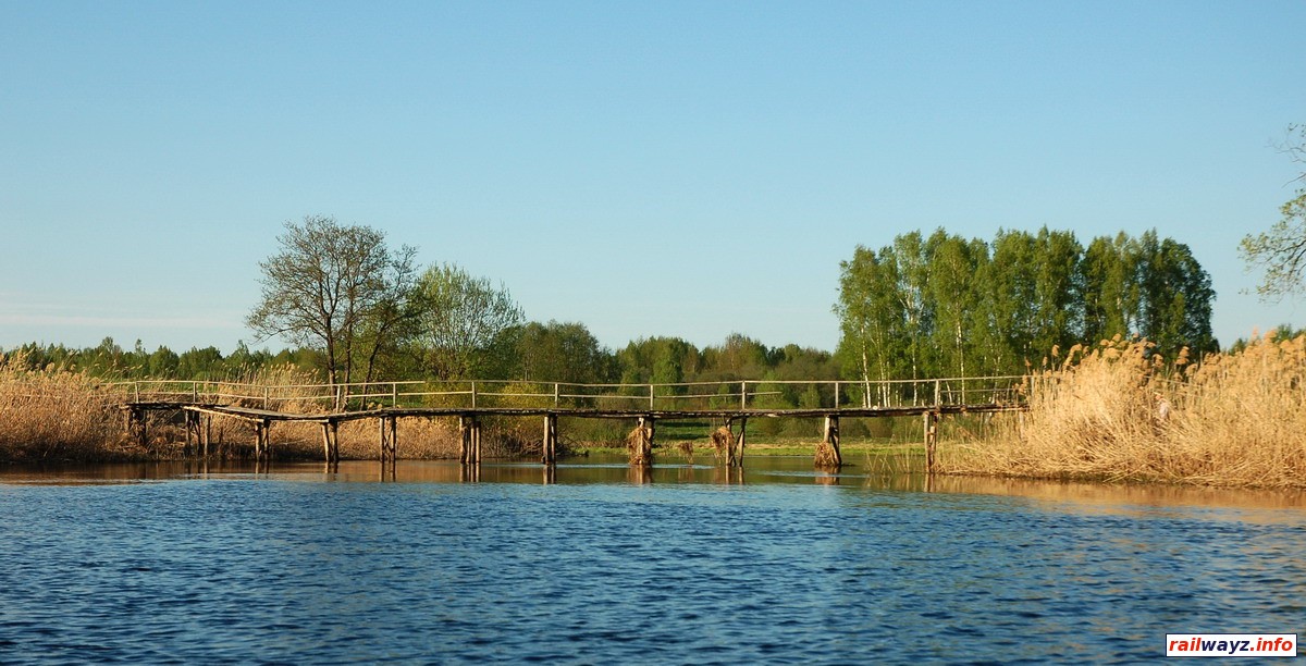 Деревянный мостик в д. Пруд