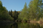 Лесистый участок реки за д. Северики