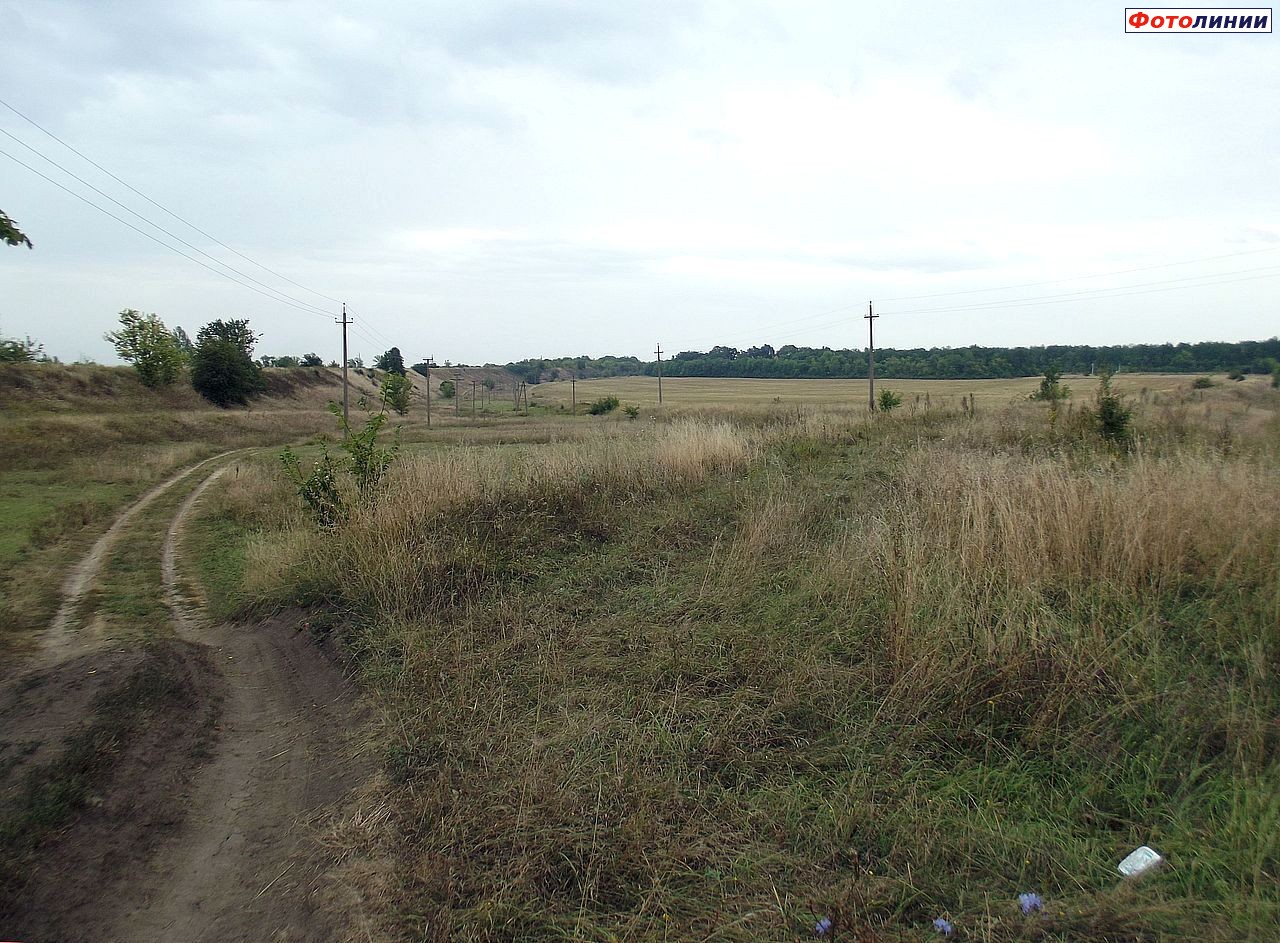 Соединение бывших путей Льгов-3, Льгов-Киевский-Сугров (высокая насыпь слева) и Льгов-3, Льгов-Киевский-Блохино (низкая насыпь справа)