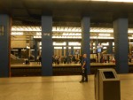 Вид платформ, Варшава-Центральна