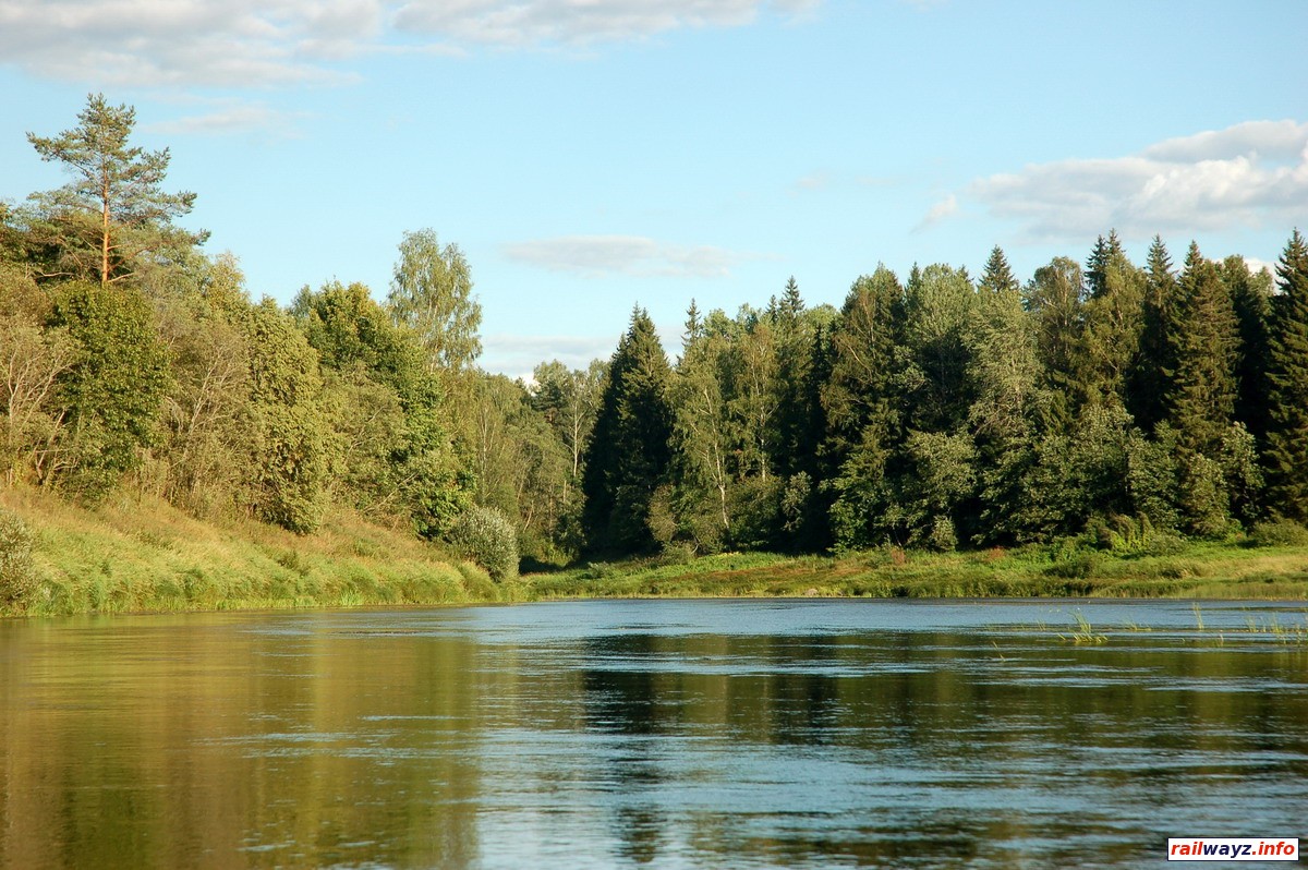 Двина выше устья р. Межа