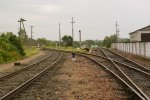 станция Воропаево: Вид в сторону Крулевщизны и Друи