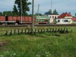 станция Воропаево: Ручные приводы стрелок