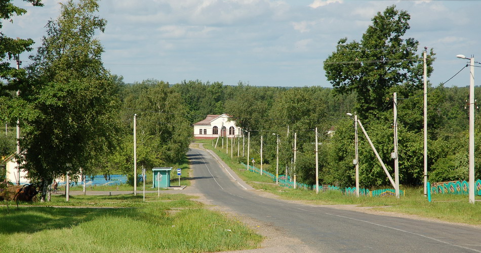 Вид пассажирского здания из деревни