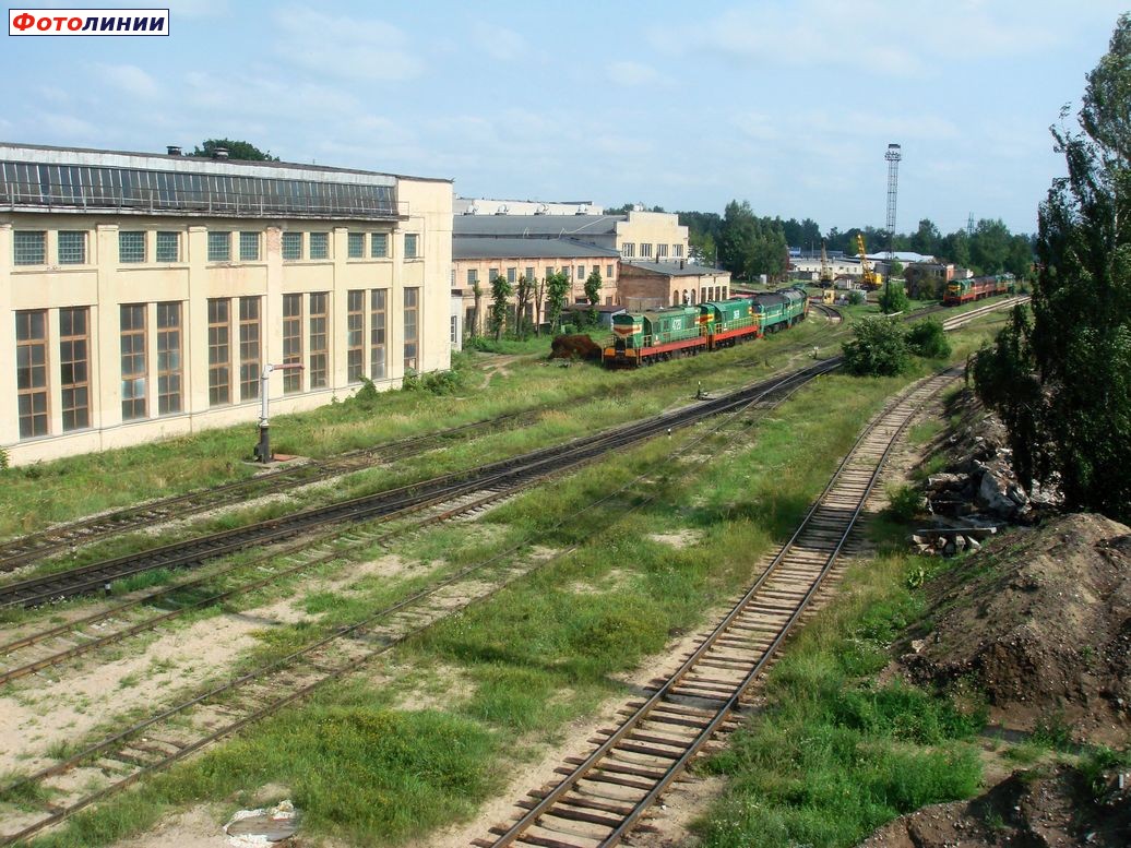 Вид с пешеходного моста на локомотивное депо