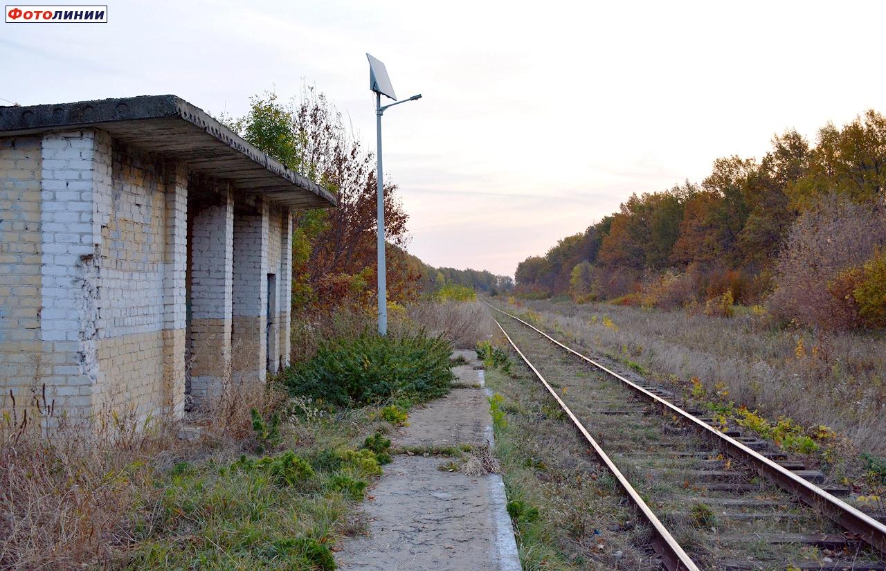 Вид с платформы в сторону ст. Старое Юрьево