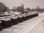 станция Готня: Пути отстоя товарных вагонов
