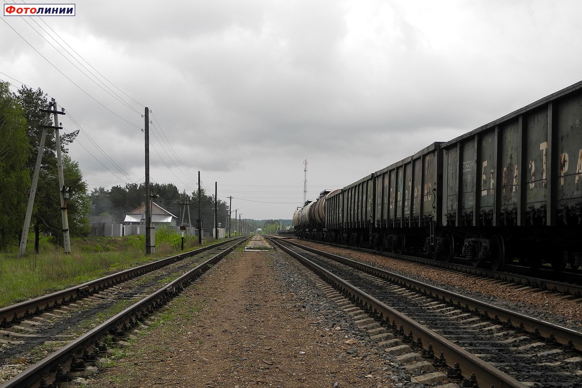 Вид в сторону Тумской