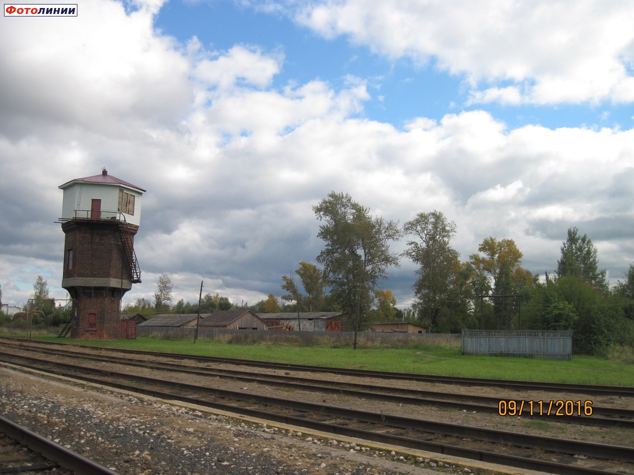 Вид на место бывшей узкоколейной станции