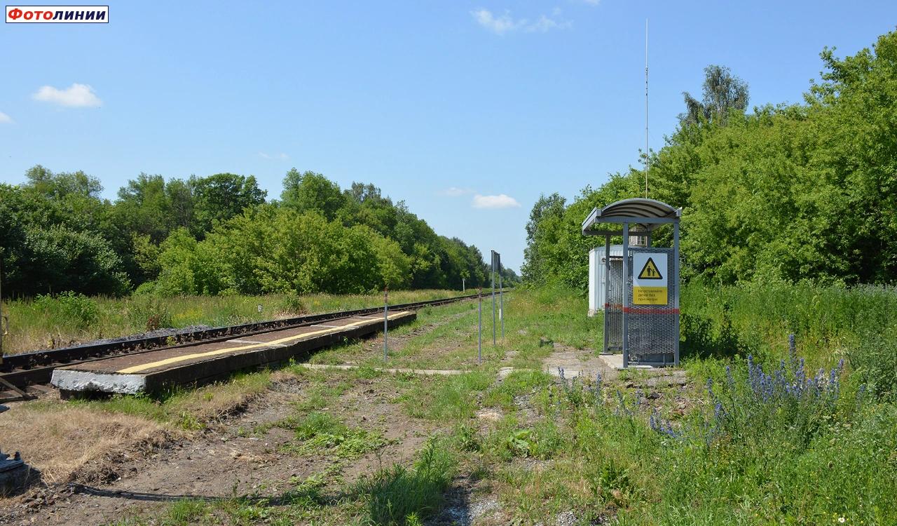 Вид со старой платформы в сторону Ряжска