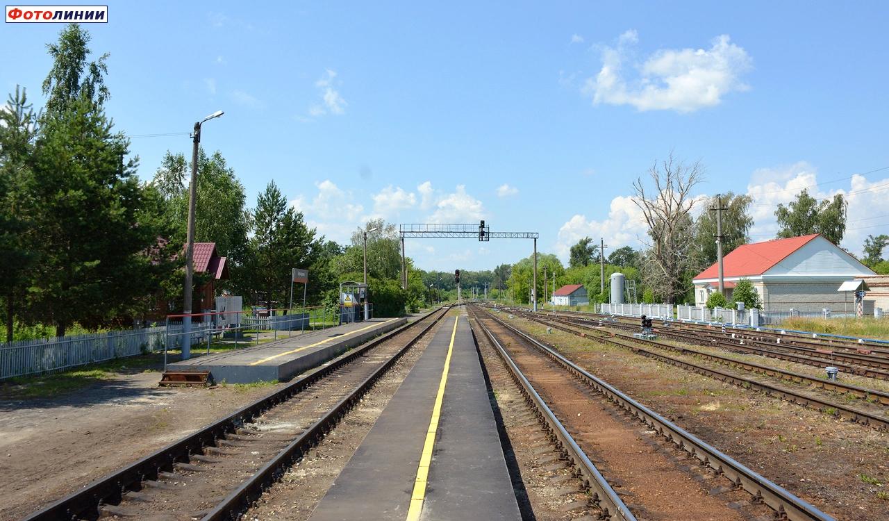 Вид с платформы в сторону Ряжска
